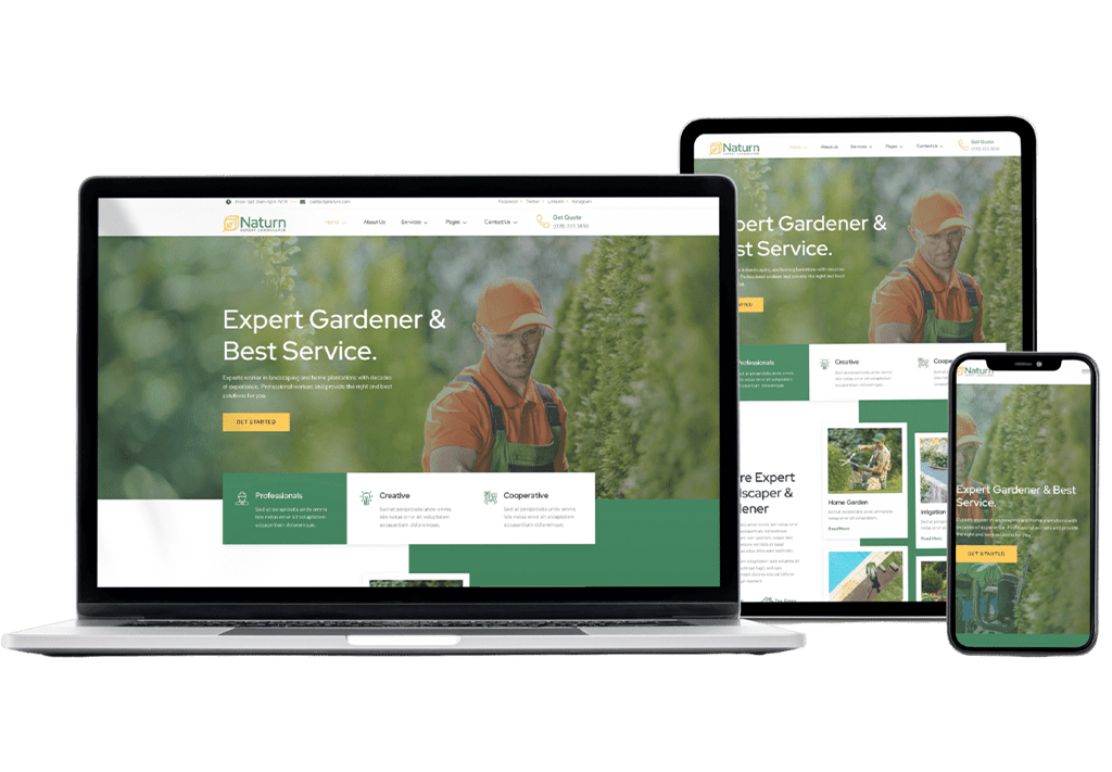 WordPress Design Development