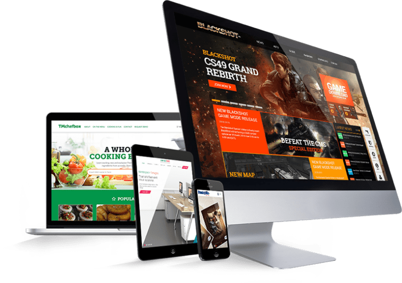 Responsive Website Design