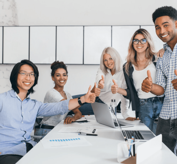 Web Development Team